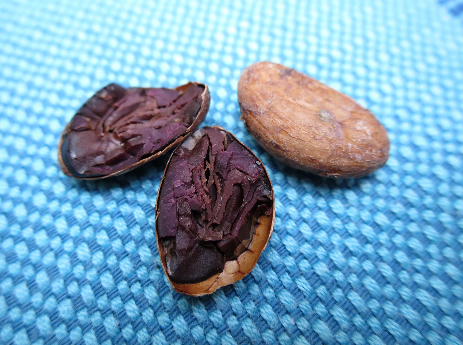 Photo éditoriale cacao/café — Wikimedia Commons
