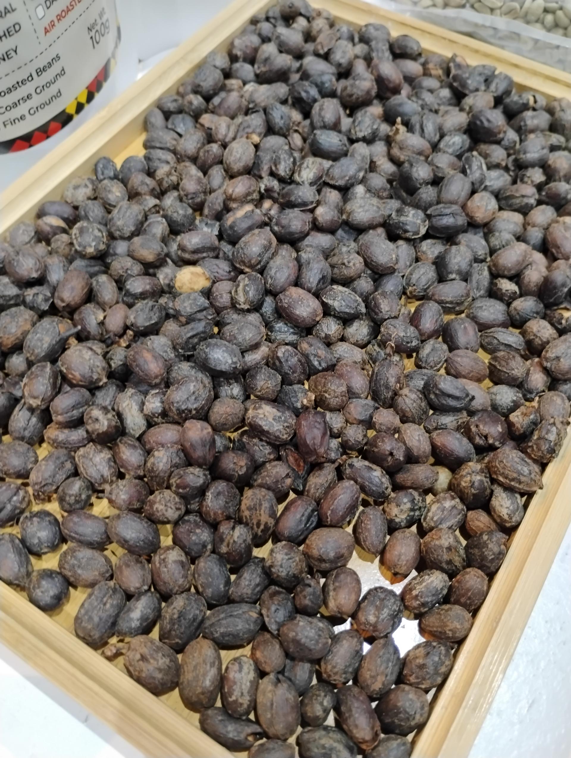 Photo éditoriale cacao/café — Wikimedia Commons