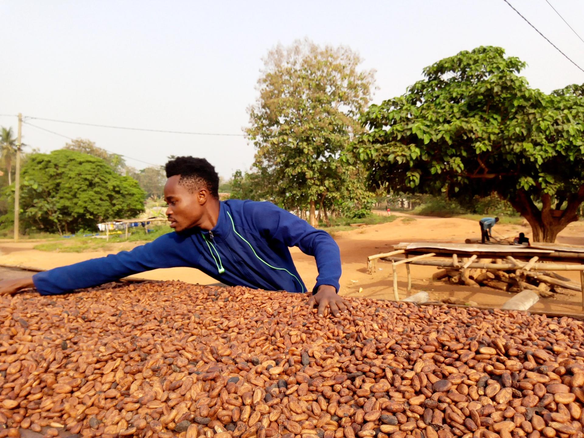 Photo éditoriale cacao/café — Wikimedia Commons