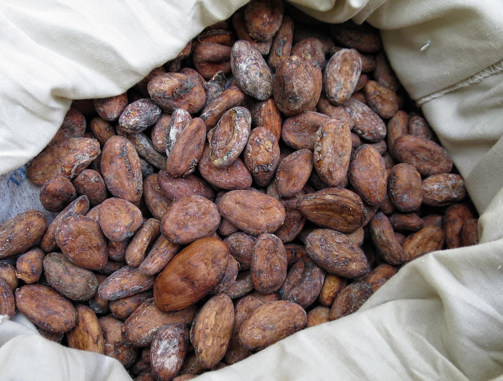 Photo éditoriale cacao/café — Wikimedia Commons