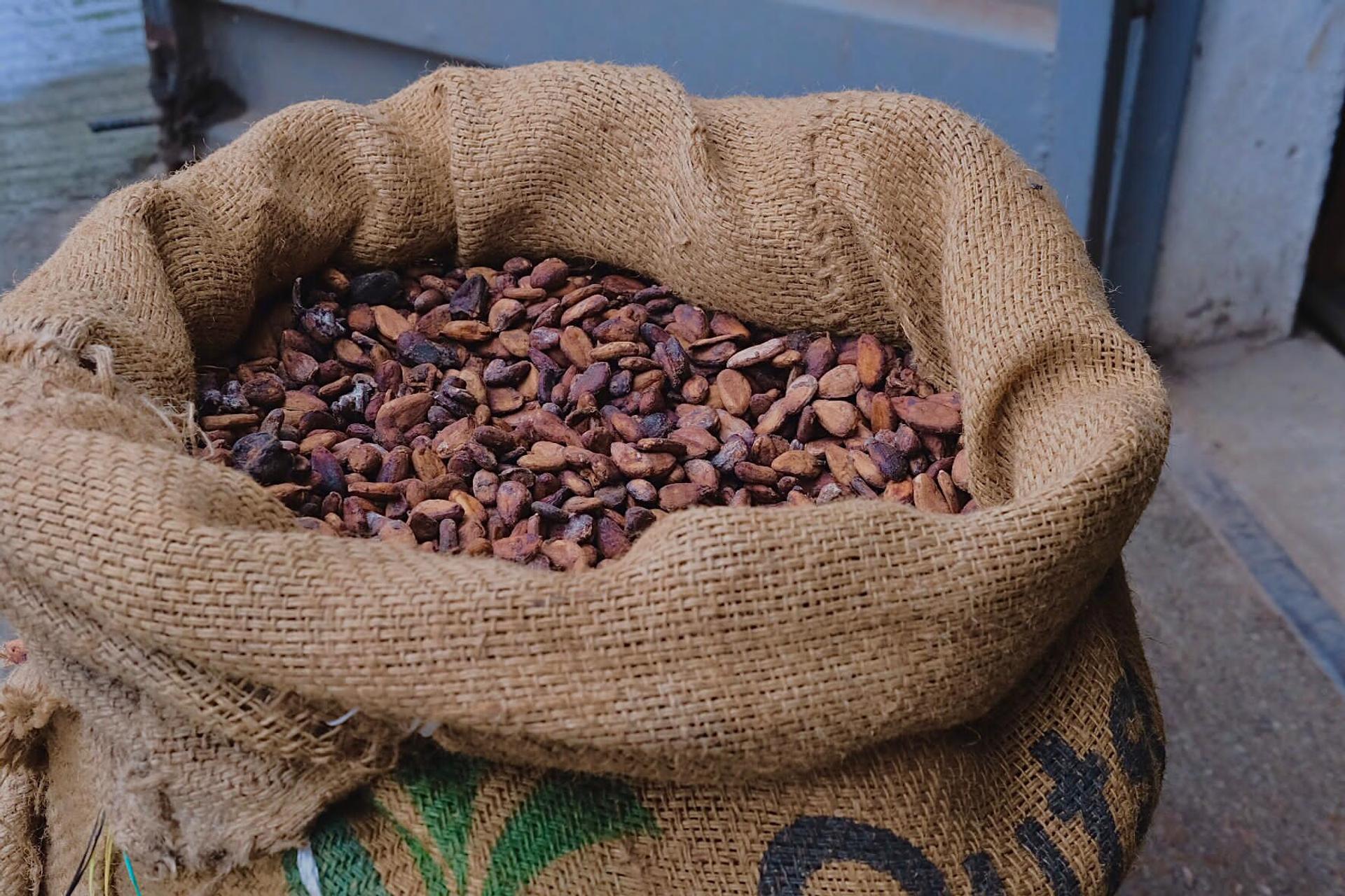 Illustration marché cacao — source upload.wikimedia.org