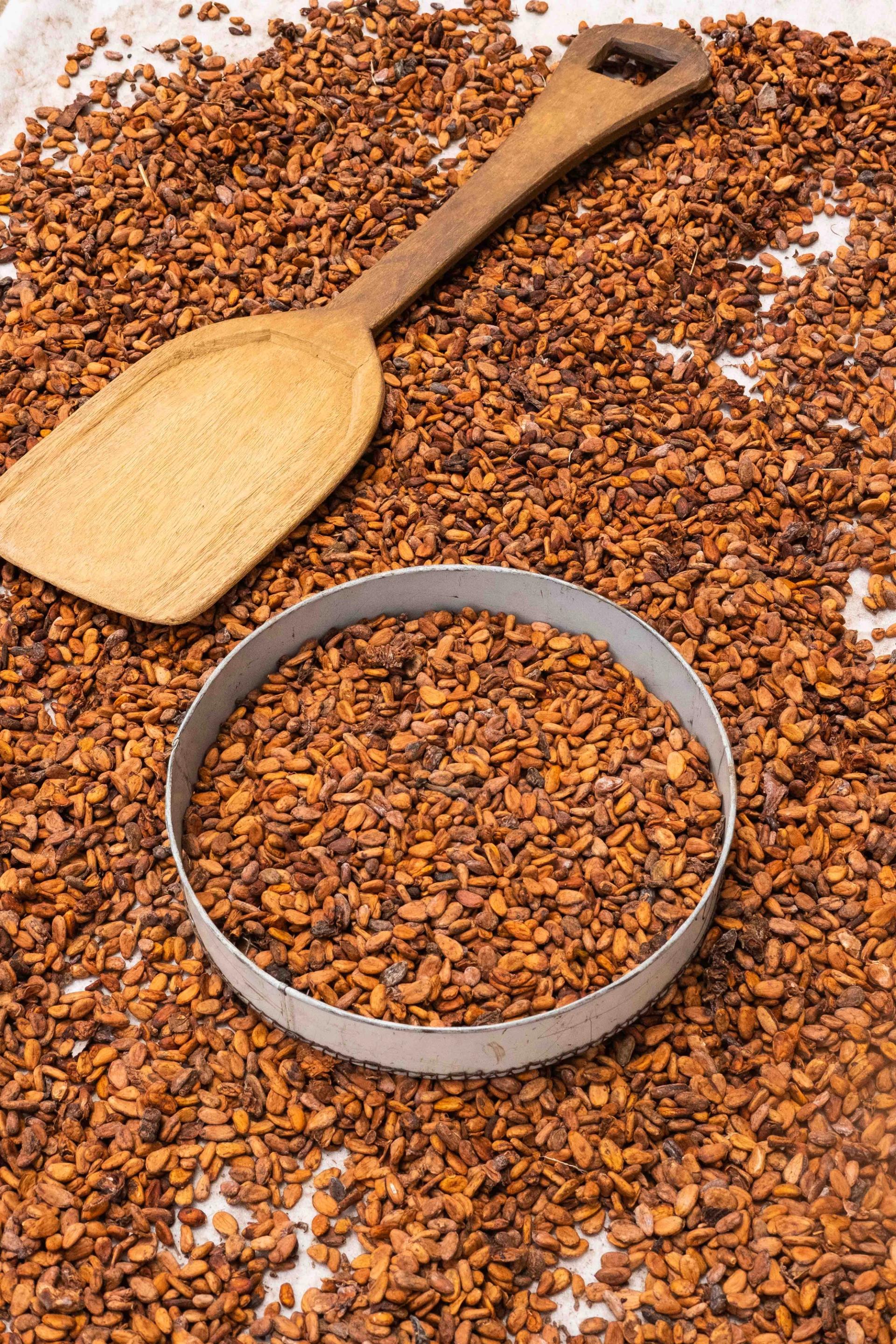 Illustration marché cacao — source upload.wikimedia.org