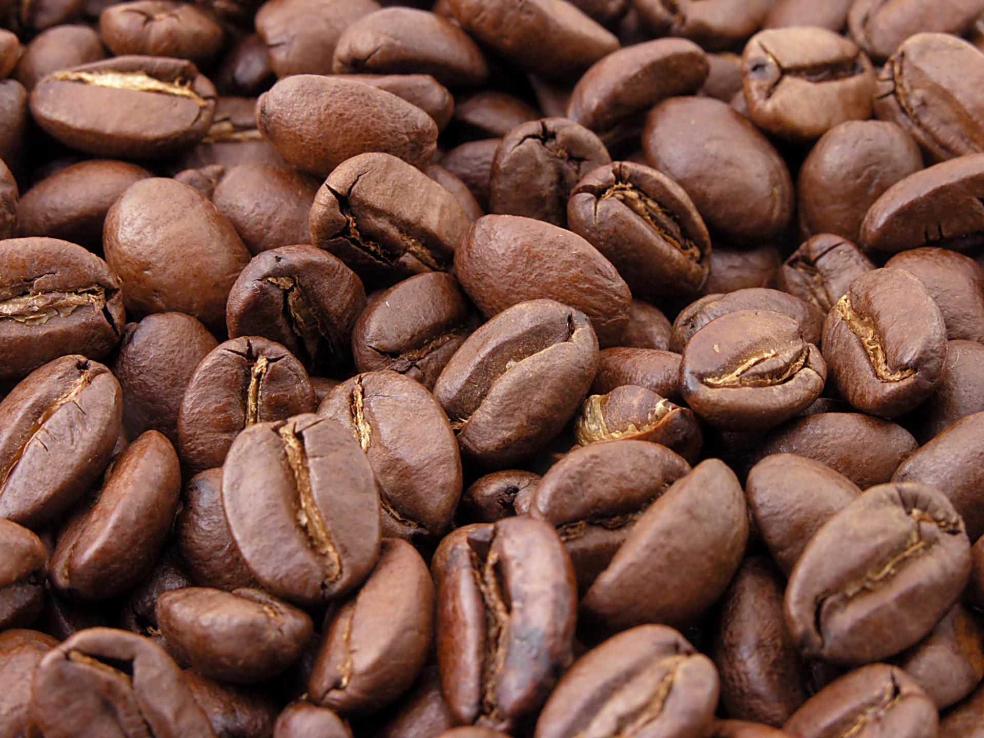 Photo éditoriale cacao/café — Wikimedia Commons