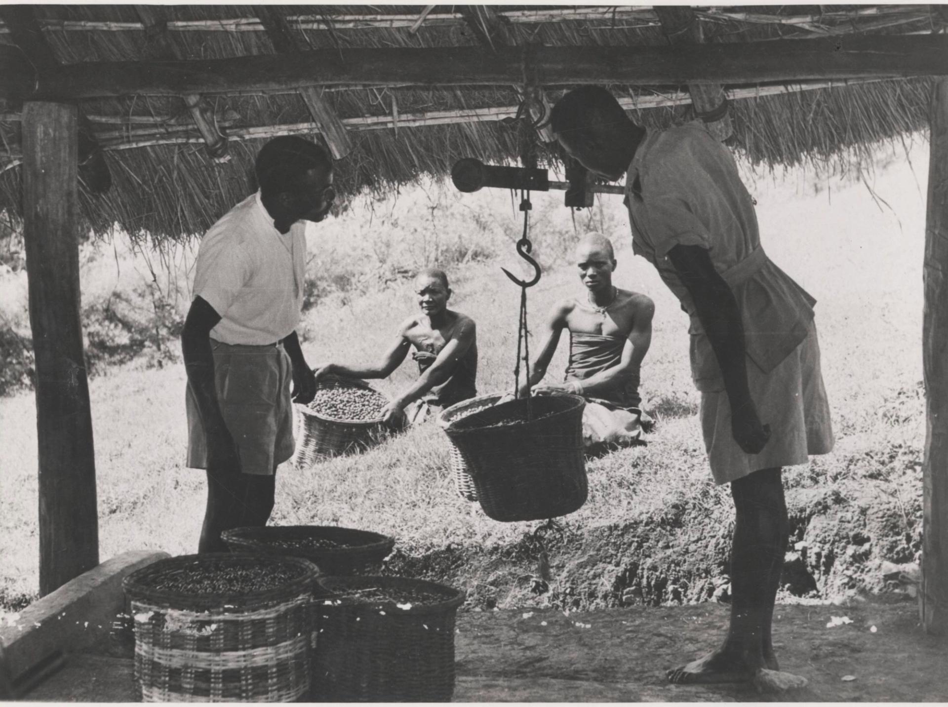 Photo éditoriale cacao/café — Wikimedia Commons