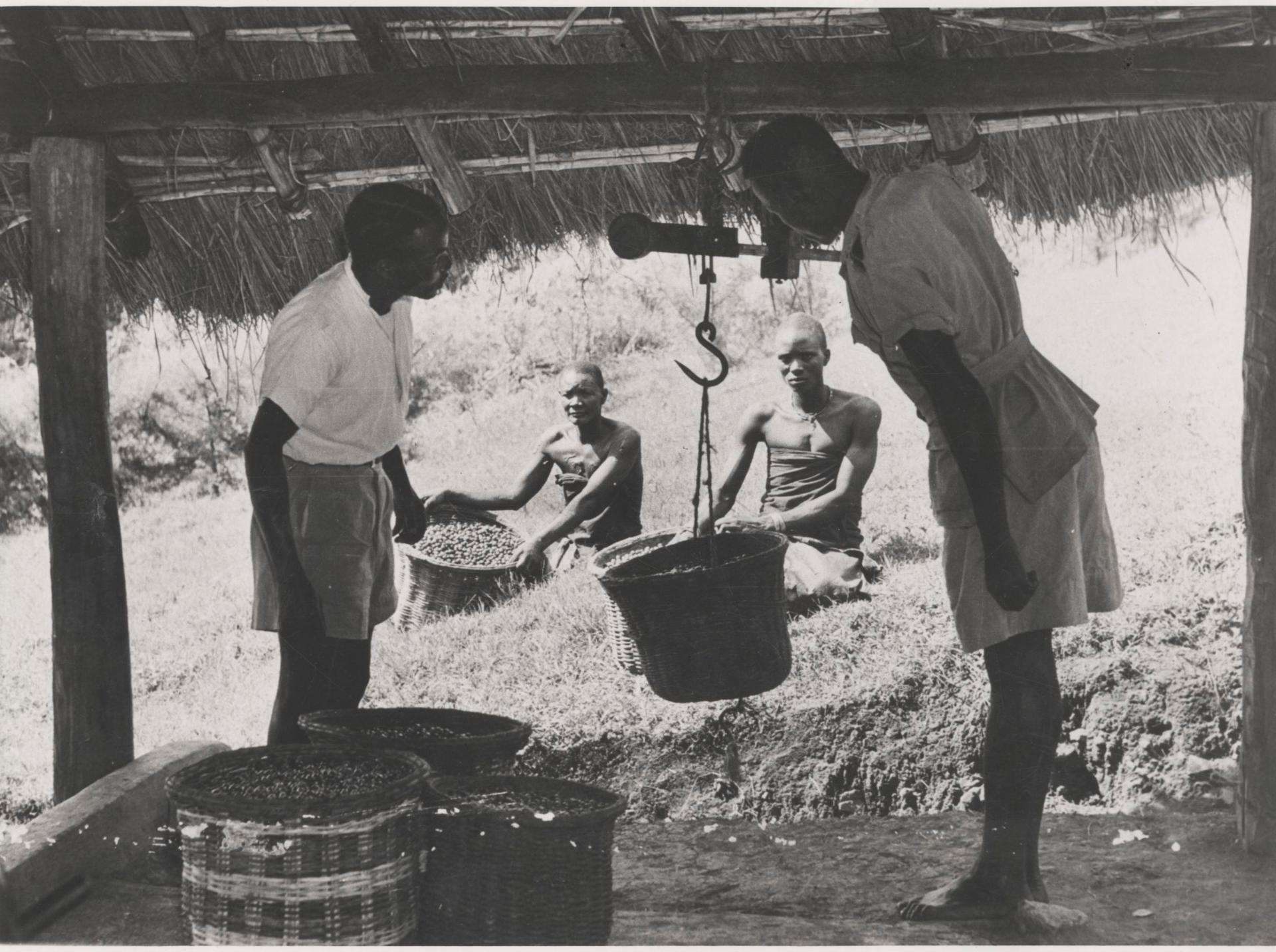 Photo éditoriale cacao/café — Wikimedia Commons