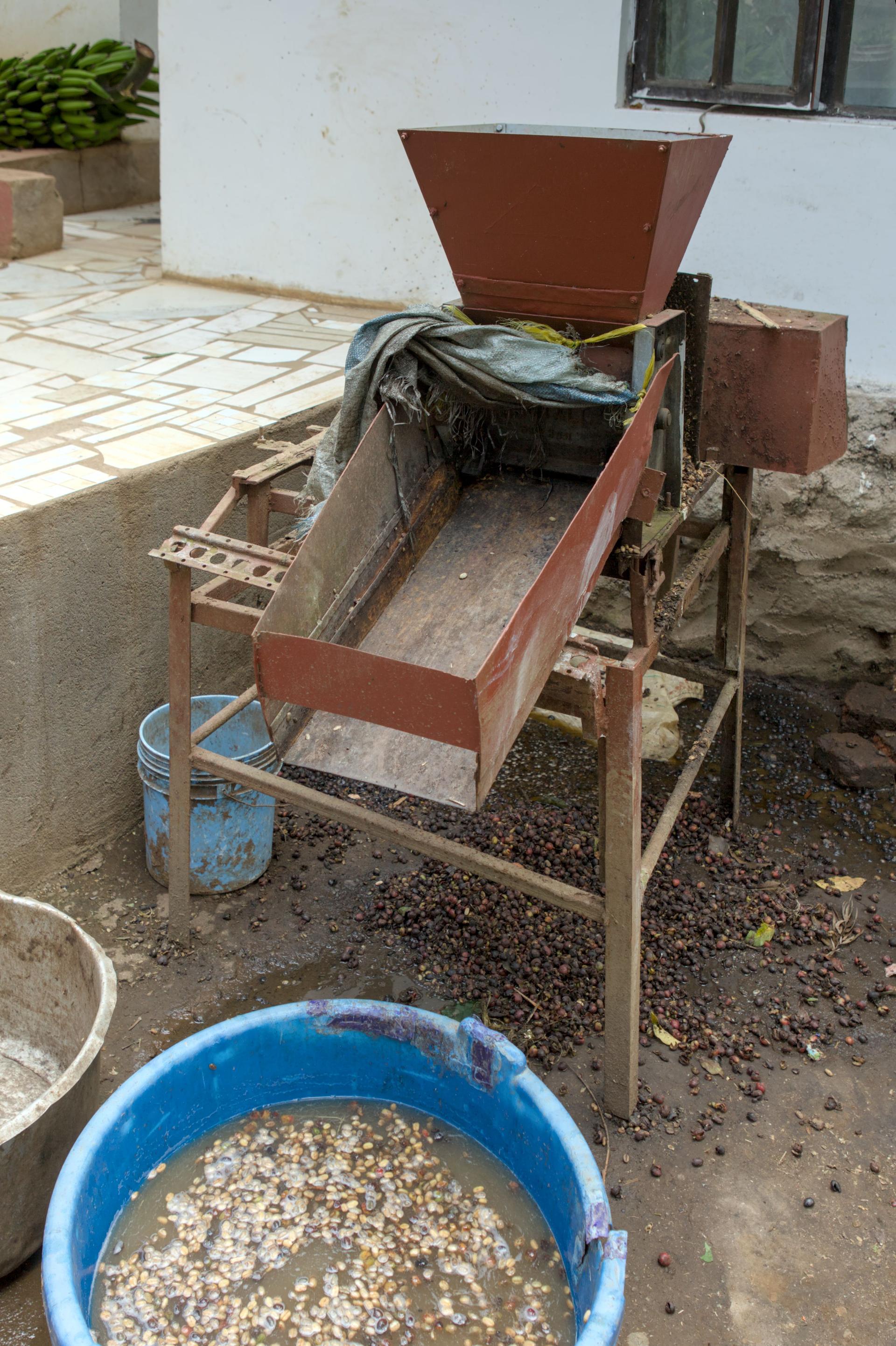 Photo éditoriale cacao/café — Wikimedia Commons