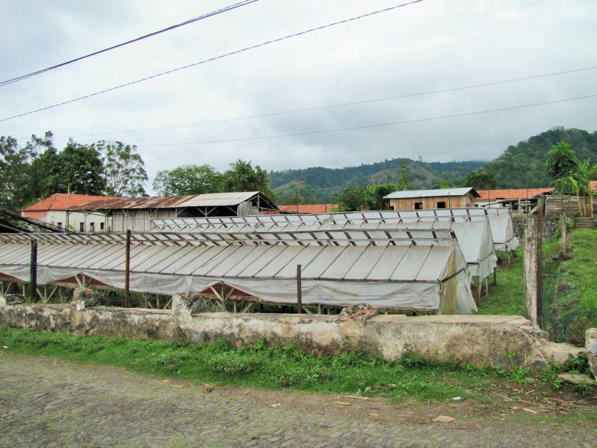 Photo éditoriale cacao/café — Wikimedia Commons