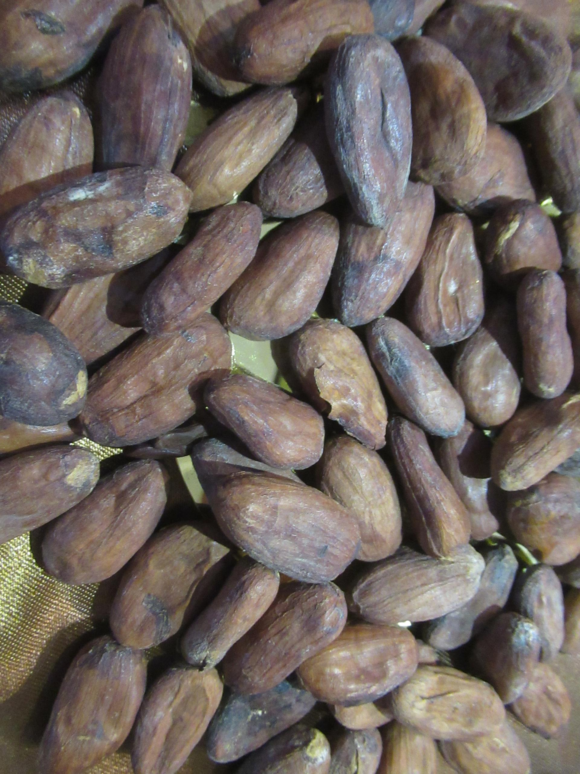 Photo éditoriale cacao/café — Wikimedia Commons