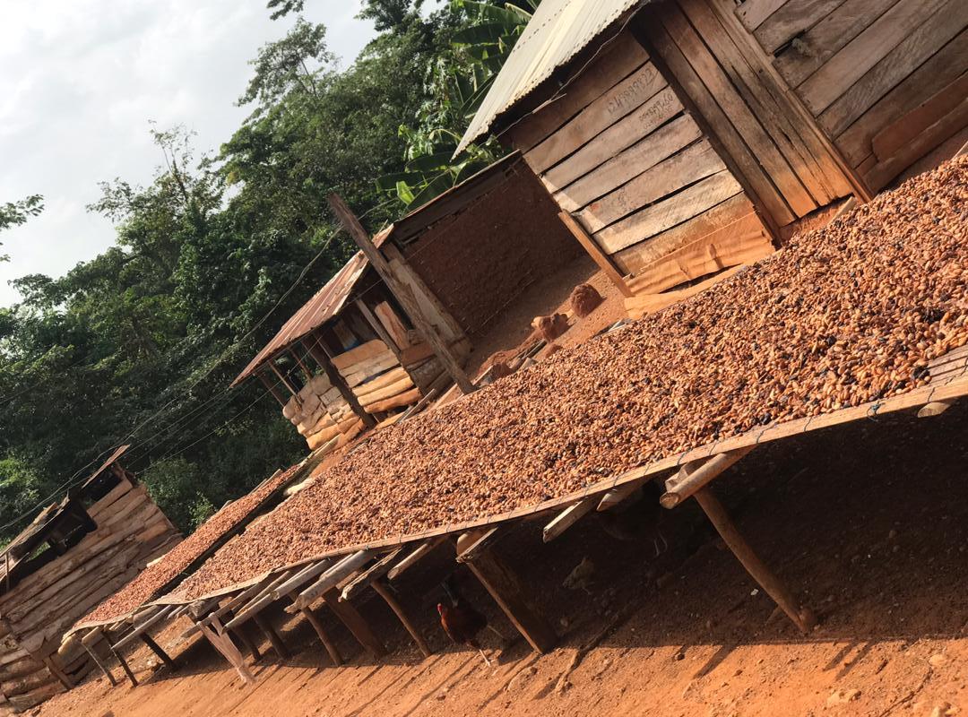 Photo éditoriale cacao/café — Wikimedia Commons