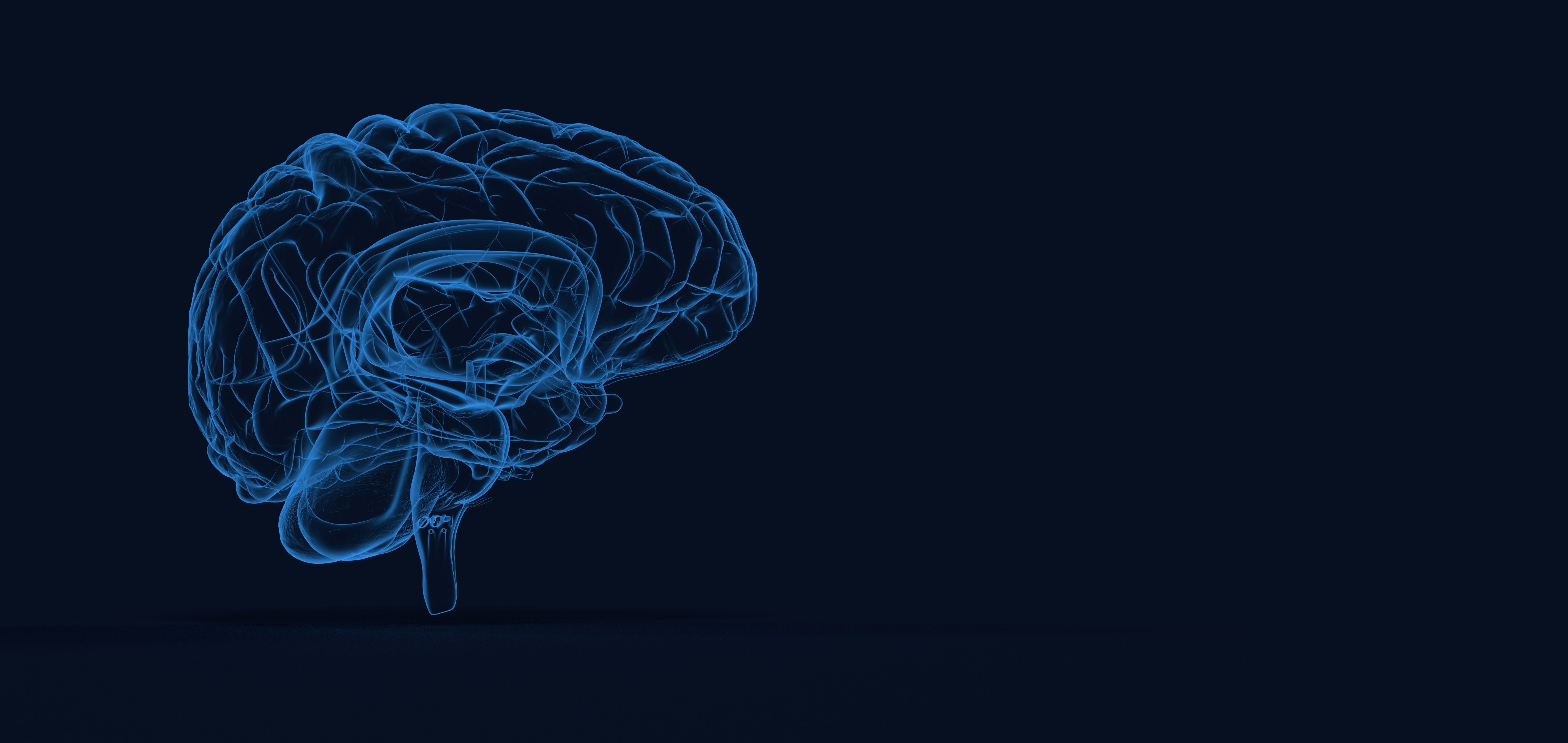 Blue outline of a human brain on a black background.