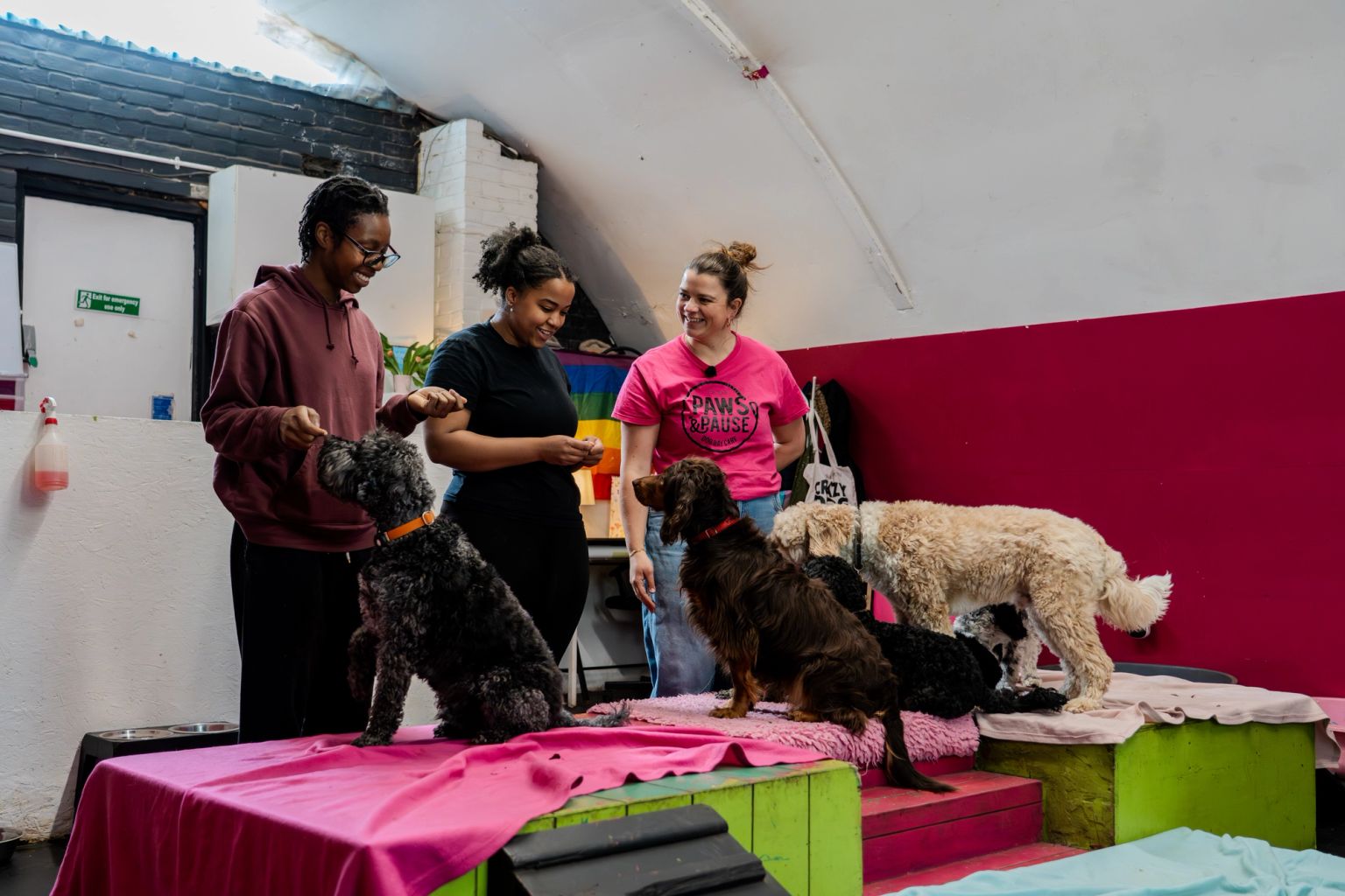 Three women interact with several dogs on colorful training platforms in an indoor facility.