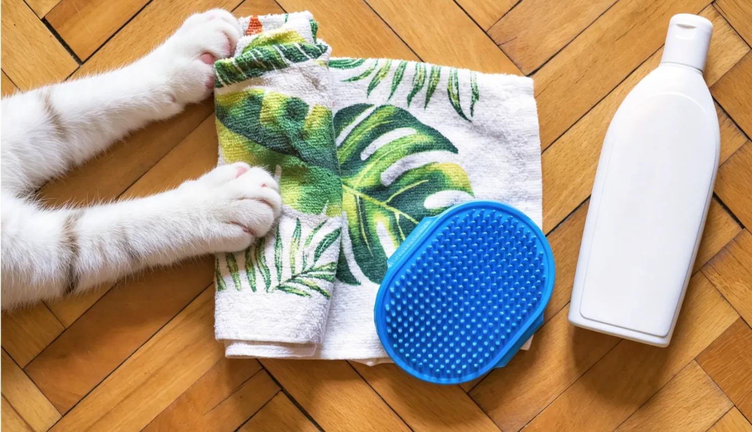 Cat Grooming Tools, Decoded: What to Buy, What to Skip, and How to Avoid Paying the 'Shiny Object' Tax (From $3 to $499)
