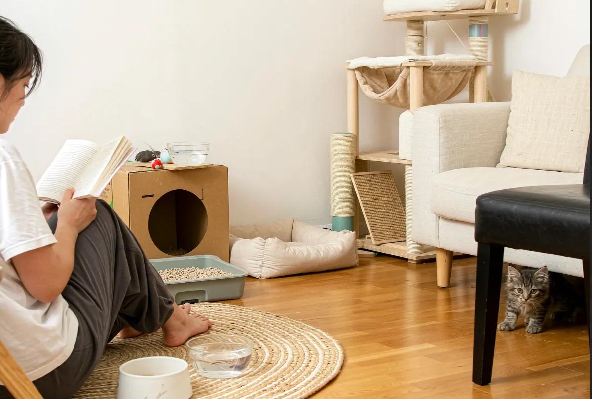 A person sitting quietly reading in the safe room while the cat watches from a distance under a chair