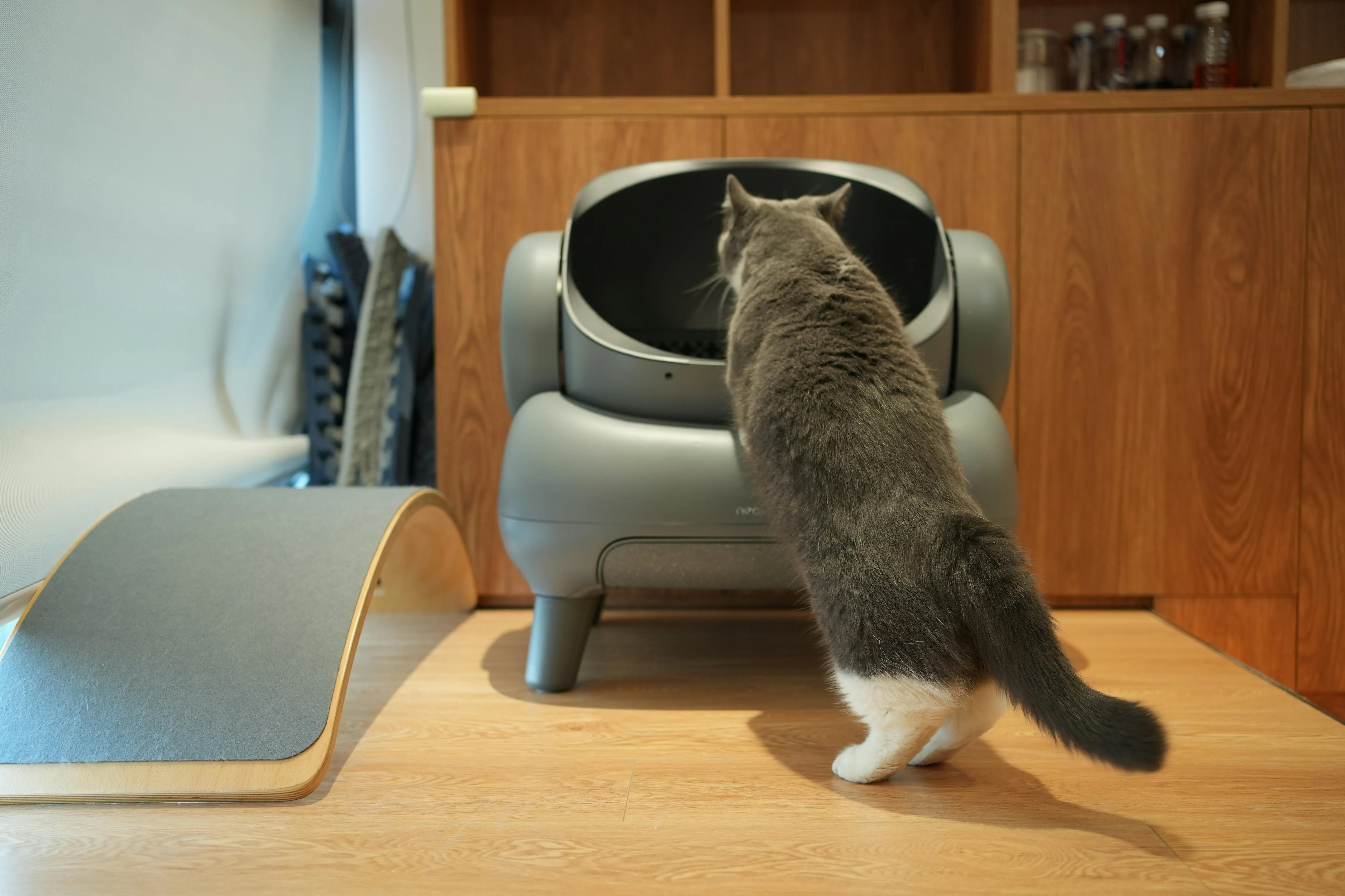 A close-up of a rotating-drum automatic litter box with a clean litter surface and a waste drawer