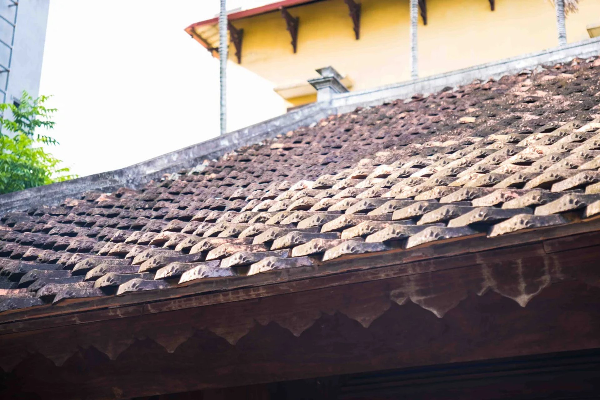 Chi tiết mái ngói mũi hài rêu phong và diềm mái gỗ