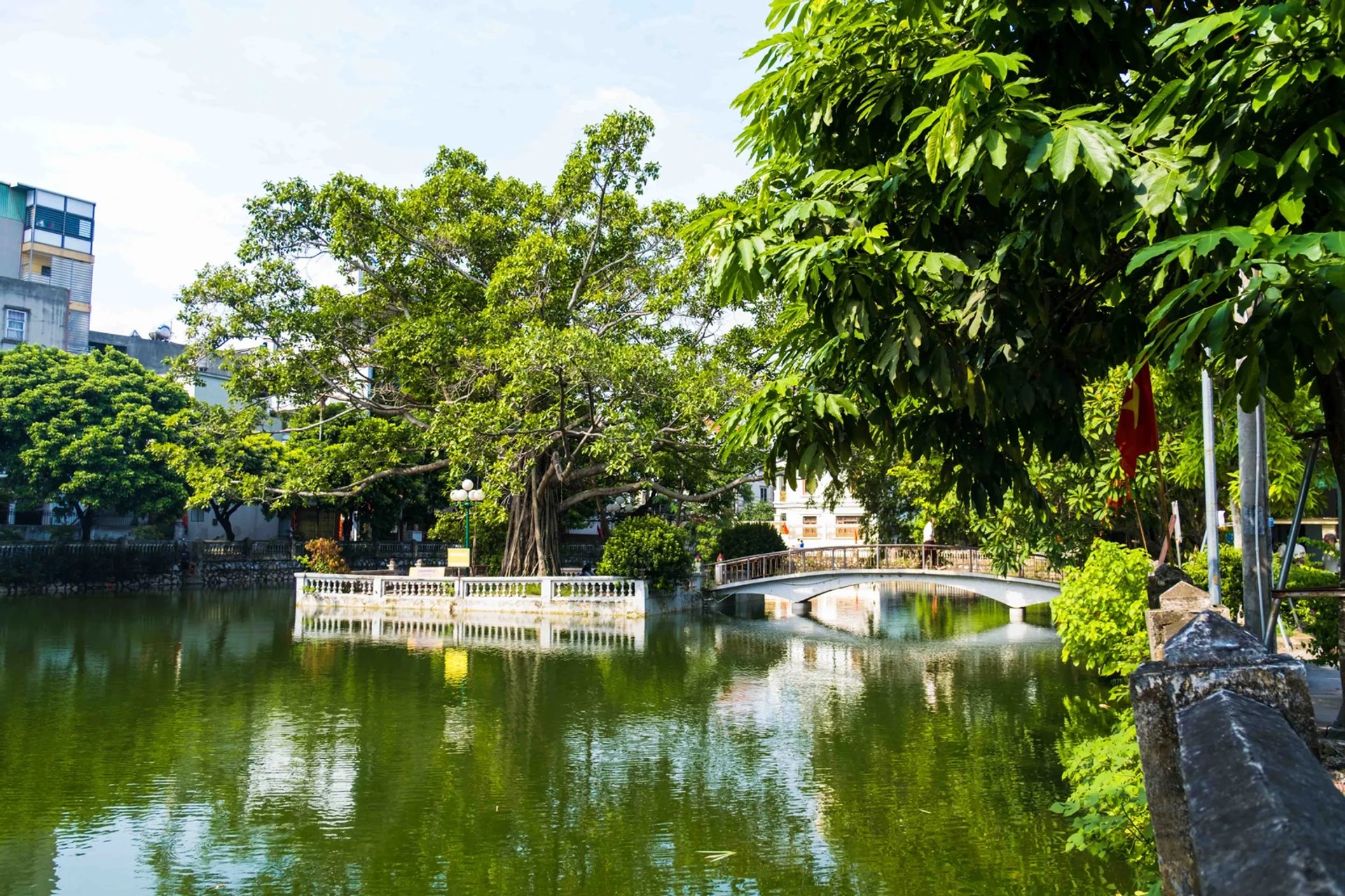 Cảnh quan hồ đình và cây đa cổ thụ rợp bóng mát