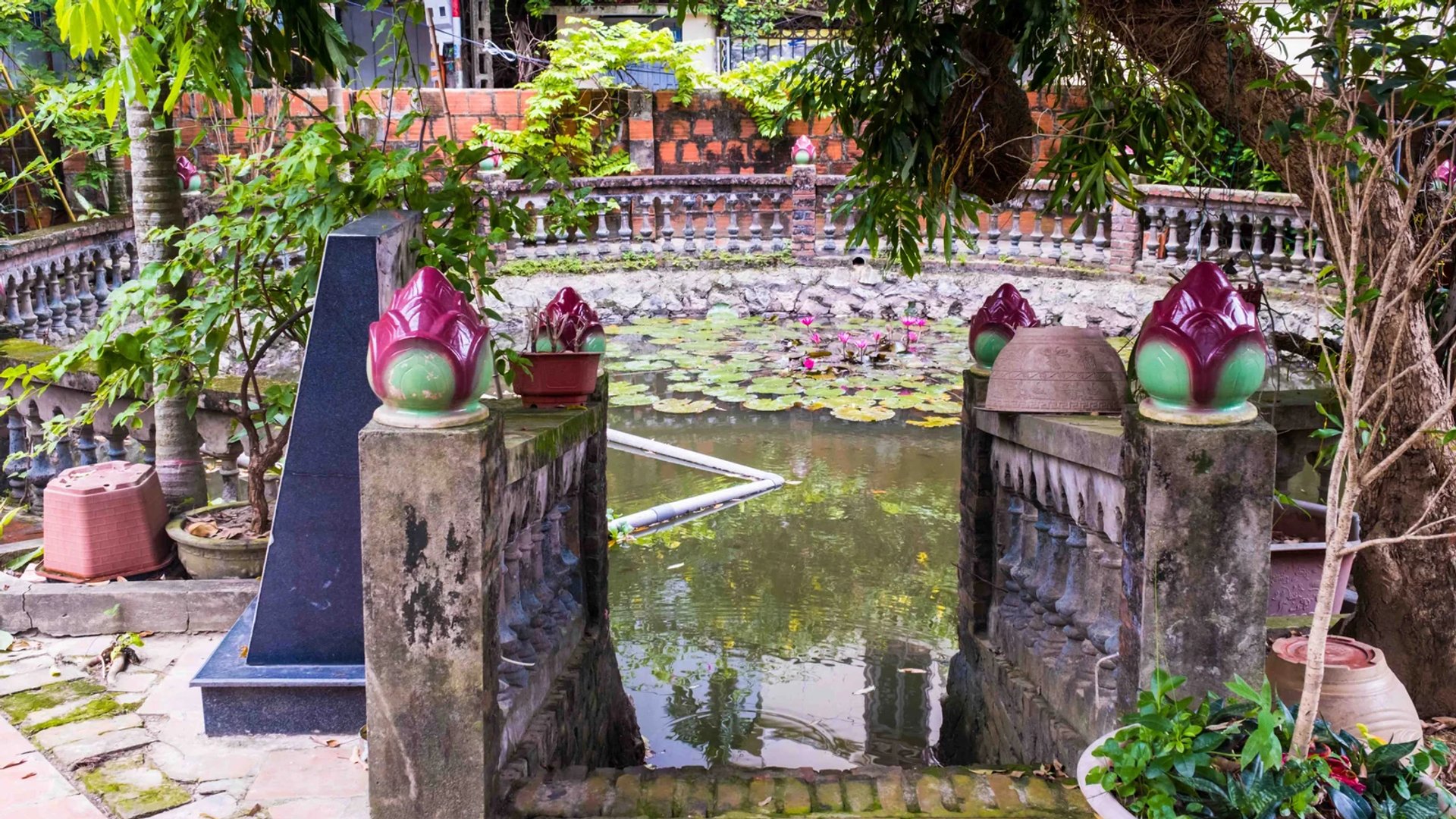 Khuôn viên ao sen và vườn cây Chùa Thiên Phúc