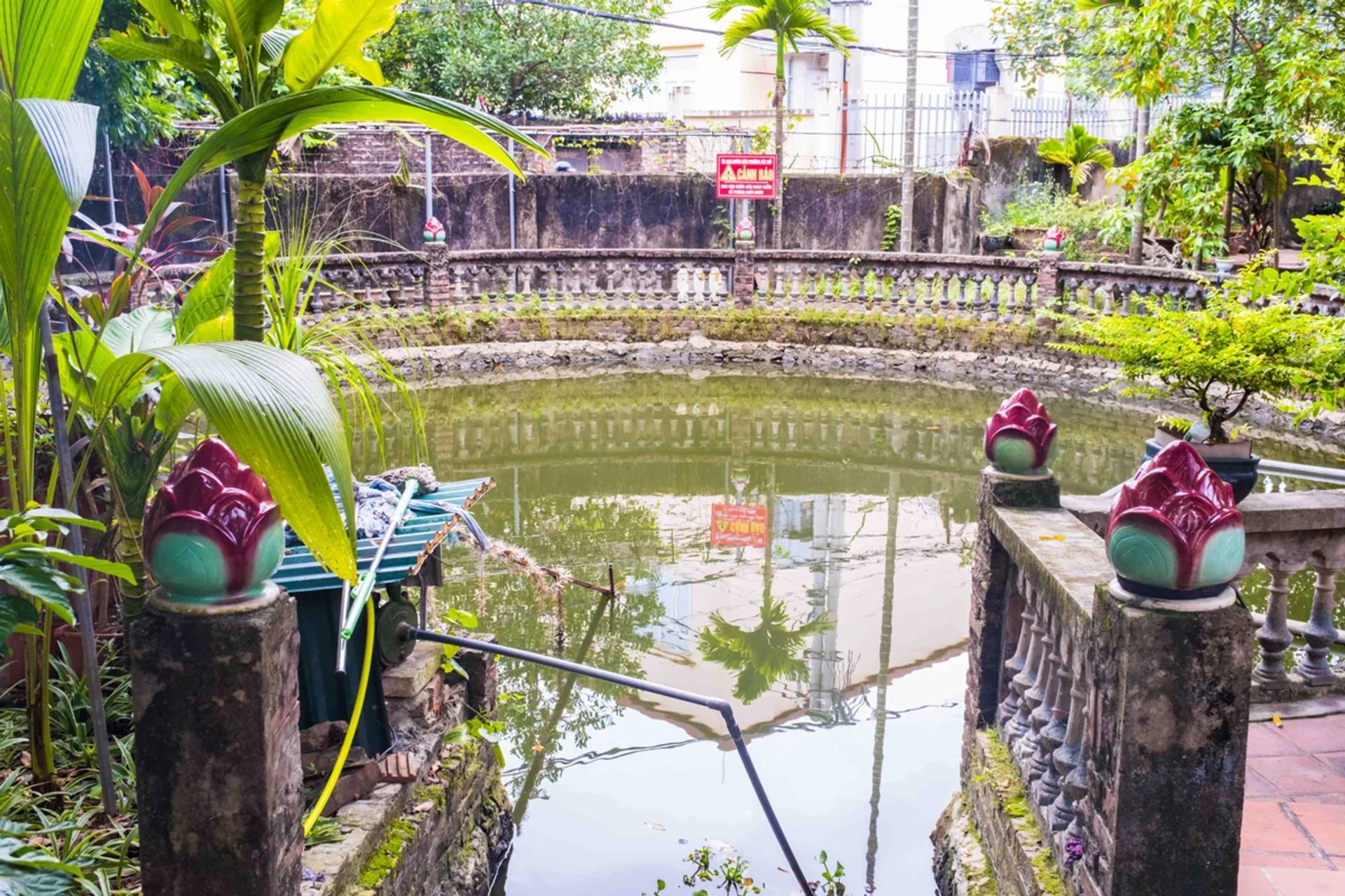 Mặt nước ao chùa thanh tịnh rợp bóng cây
