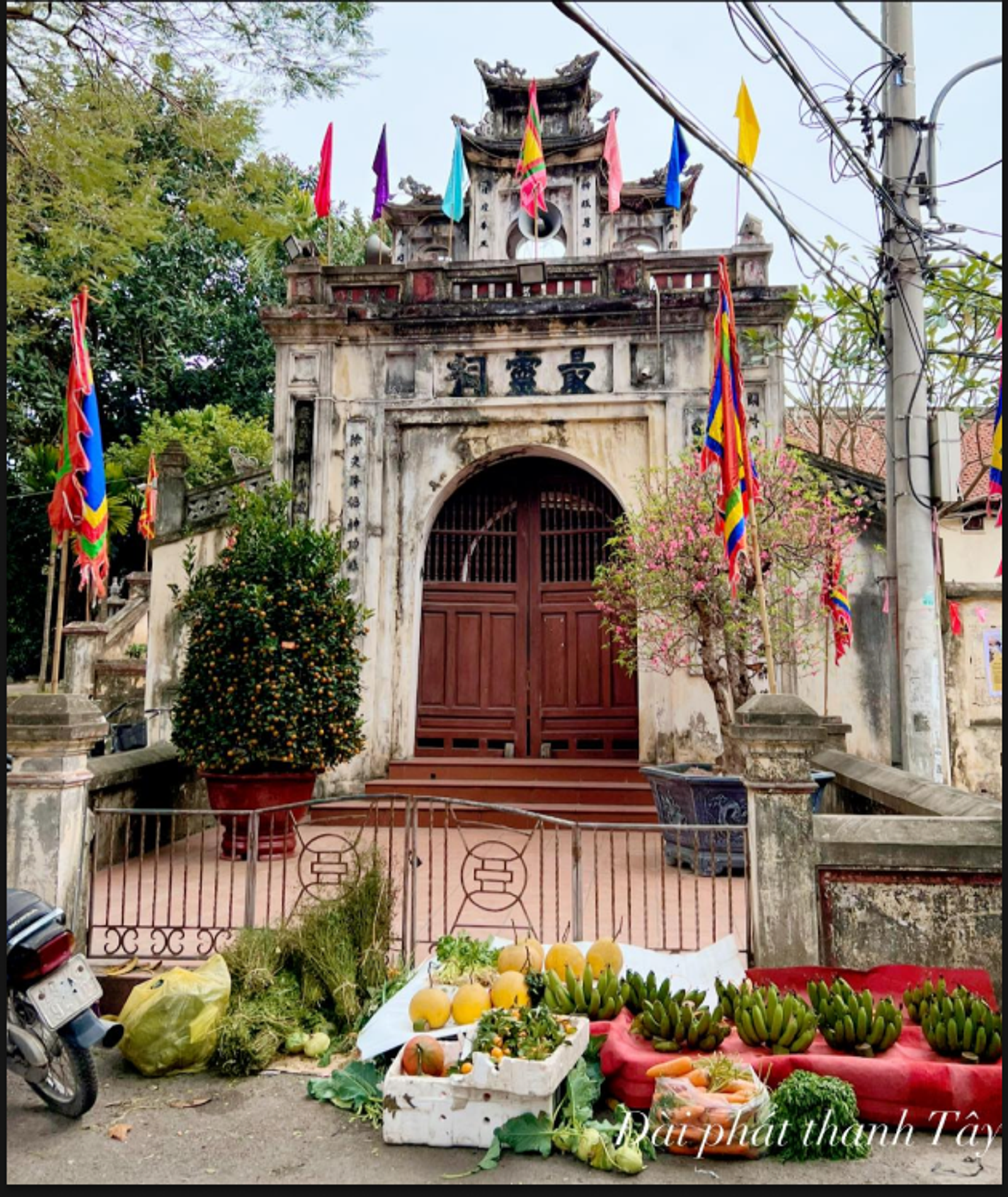 Ảnh minh họa Lễ Hội Đền Am - Kỷ Niệm Ngày Sinh Phúc Vương Tranh