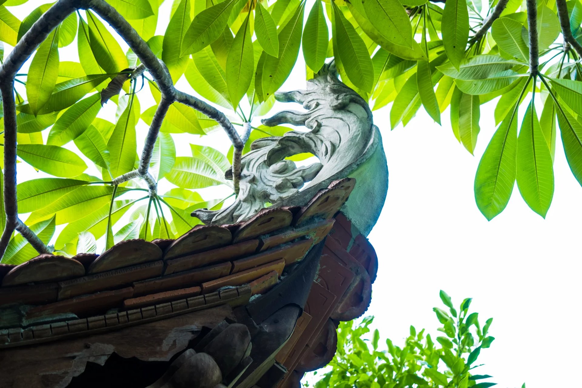 Đao mái chạm trổ nghệ thuật Miếu Lạc Thọ Đình