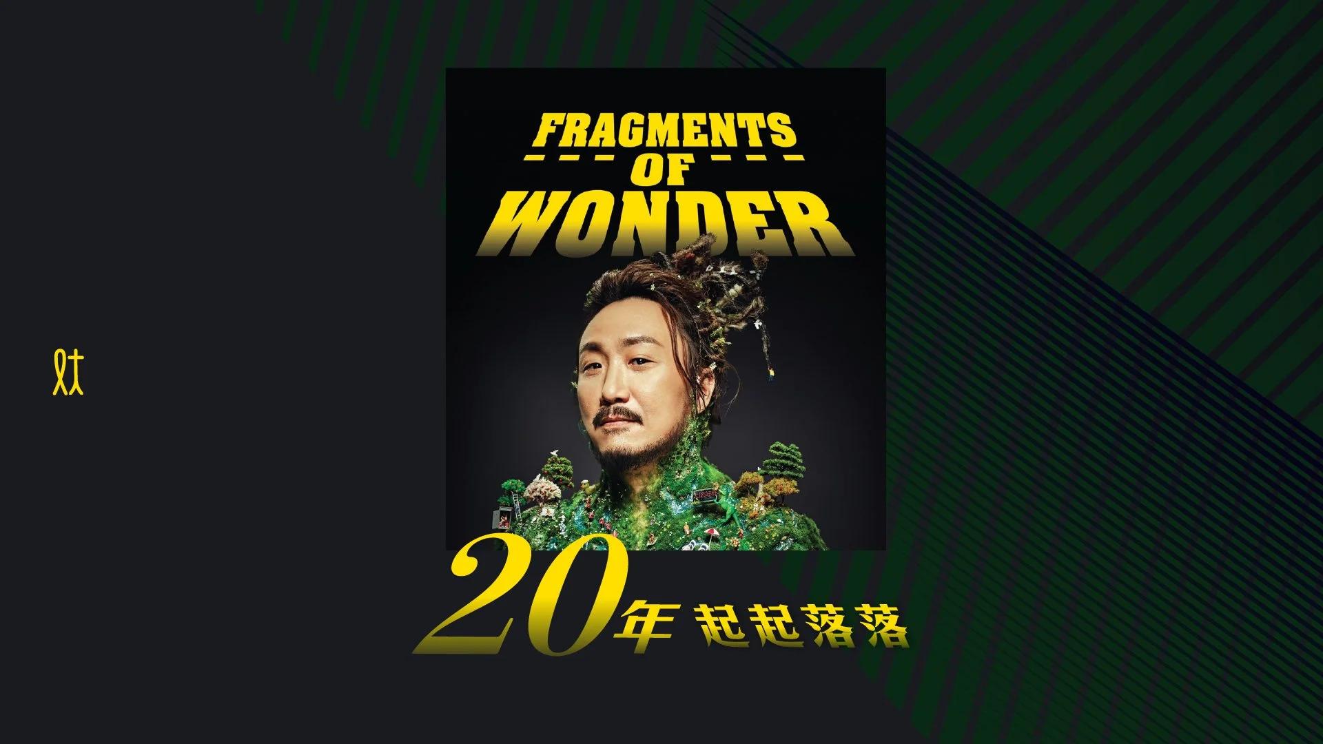 Fragments of Wonder