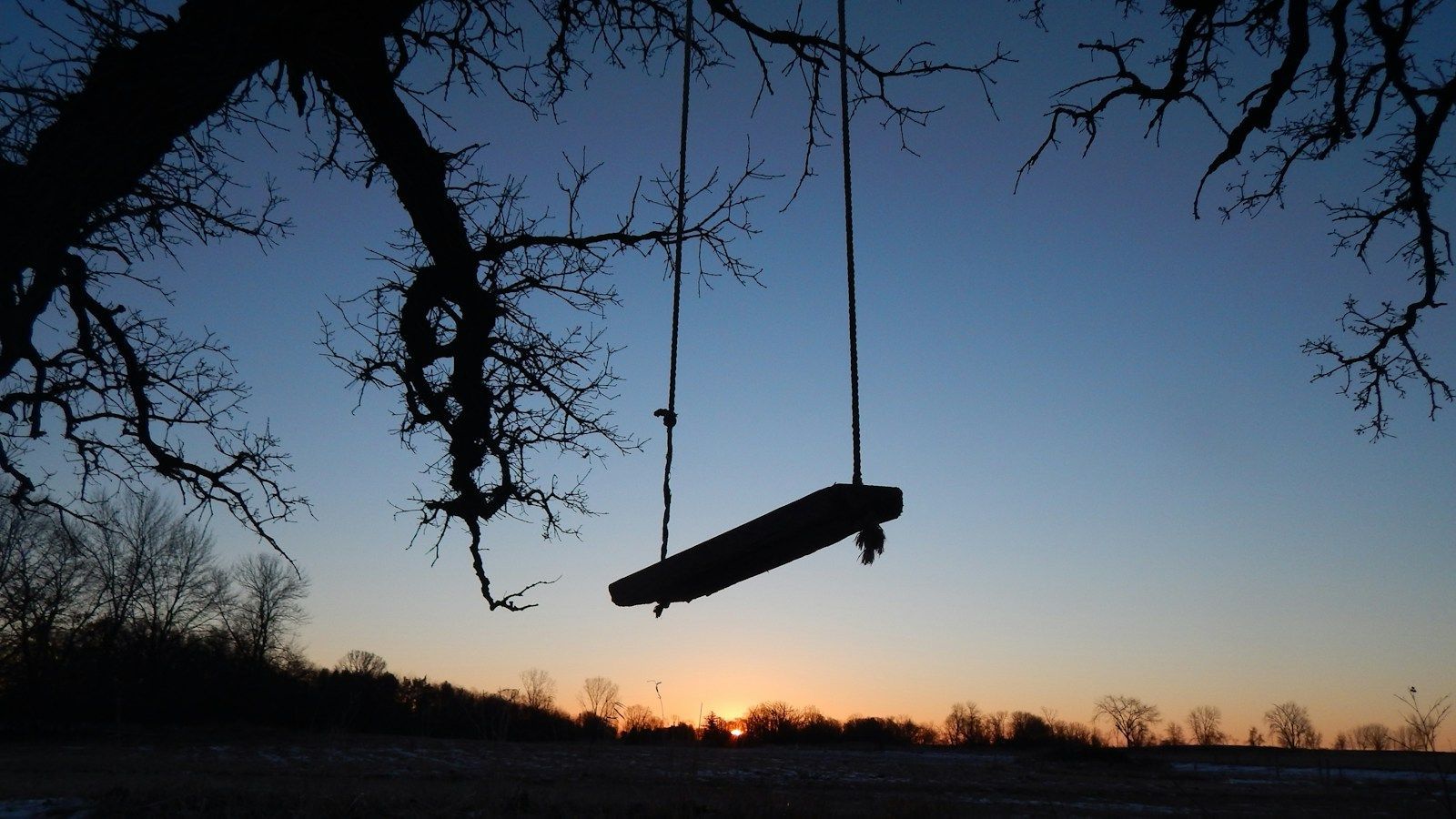 An empty wooden rope swing hanging from a bare tree at sunset