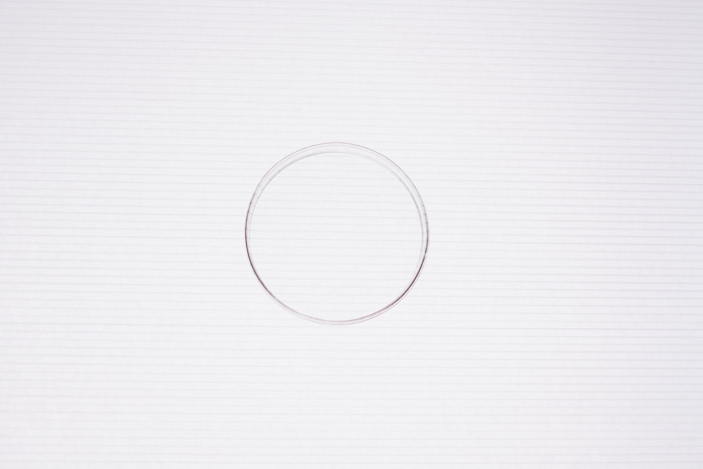 An empty glass petri dish on a white ruled surface.