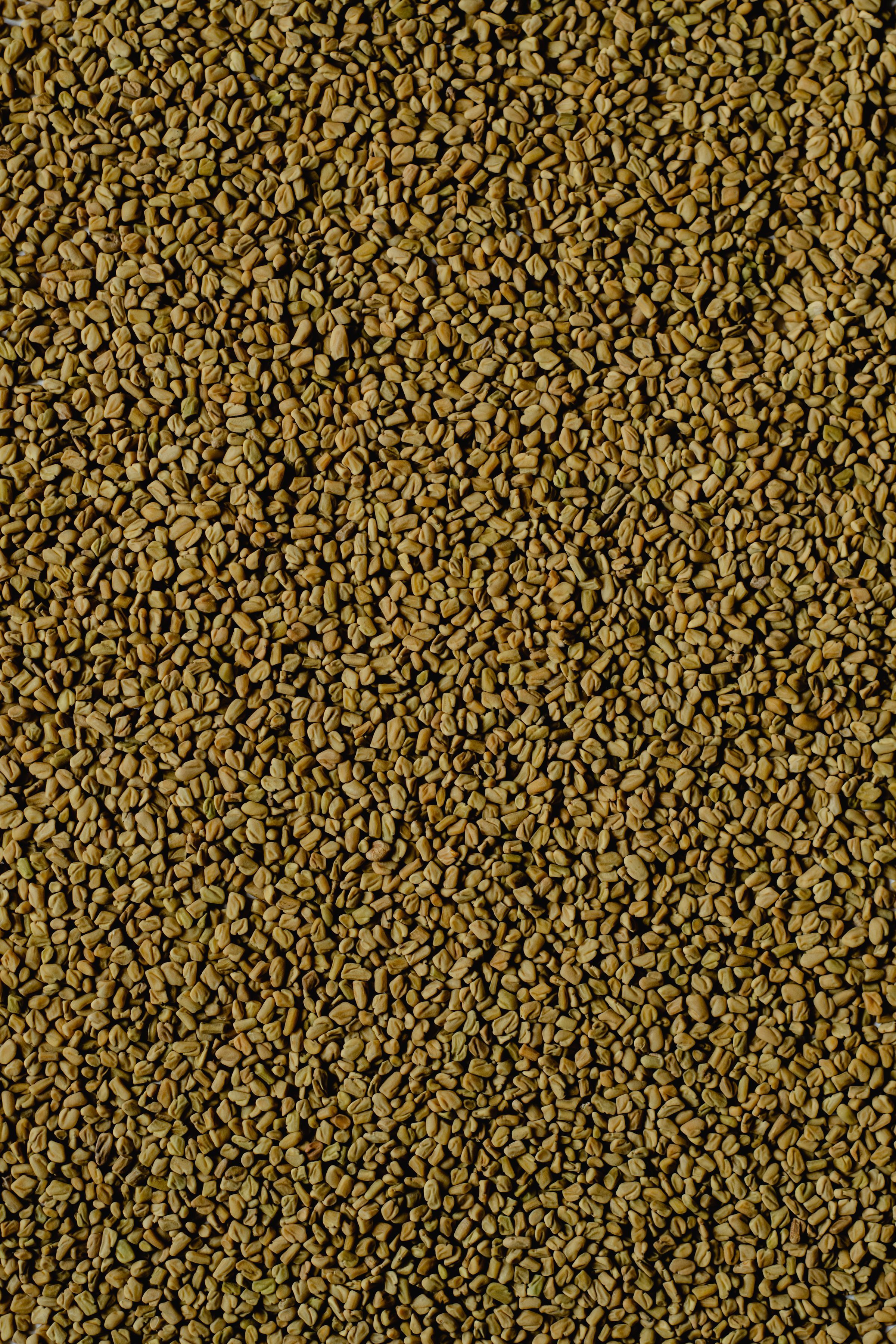 A close-up of golden brown fenugreek seeds filling the frame.