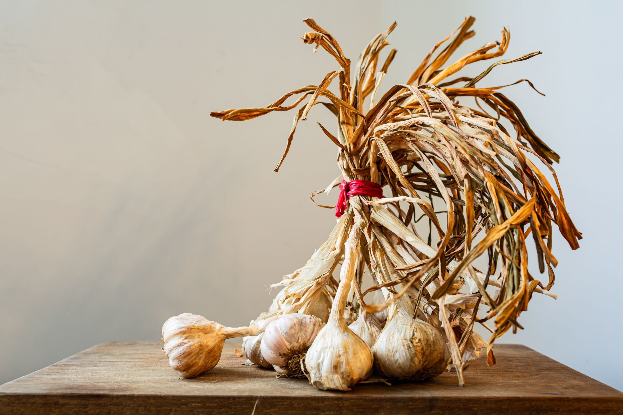 A bundle of garlic with dried stalks and several garlic bulbs on a wooden table against a plain wall.