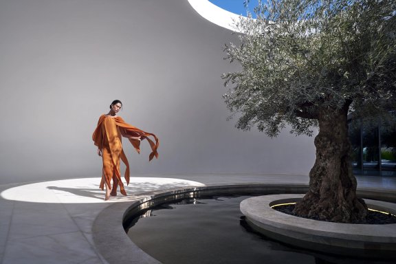 2024_11_12_Shebara_D2_05149