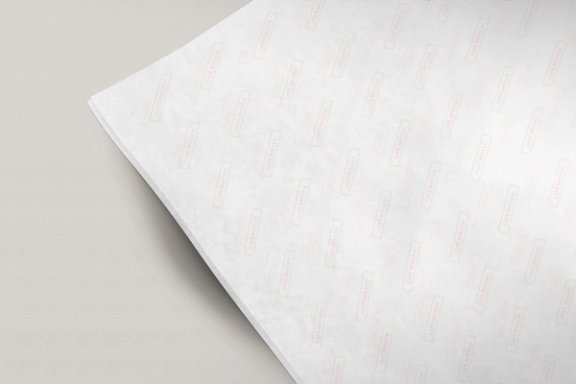 PARCHMENT PAPER_MOCKUP_V2