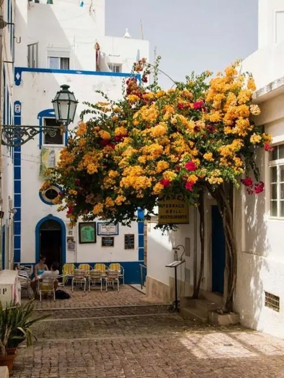 0712c1107188194461be04c1ff791505