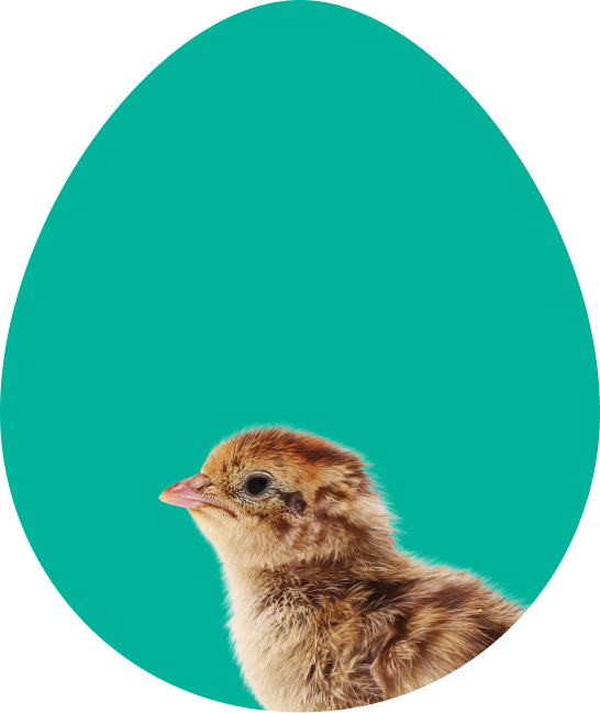 Nugget