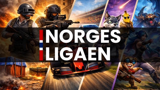 Norgesligaen