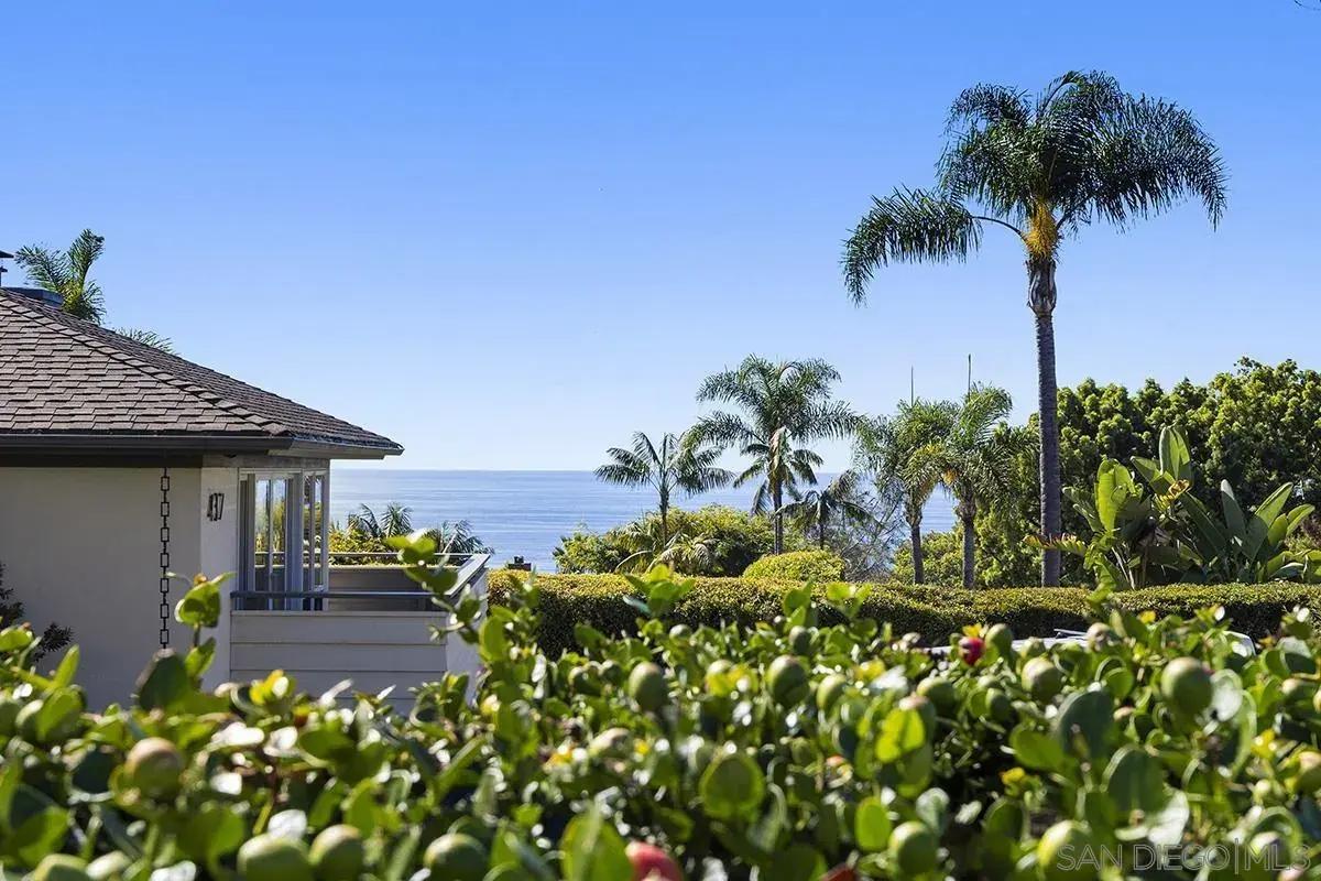 445 Avenida Primavera property view 5