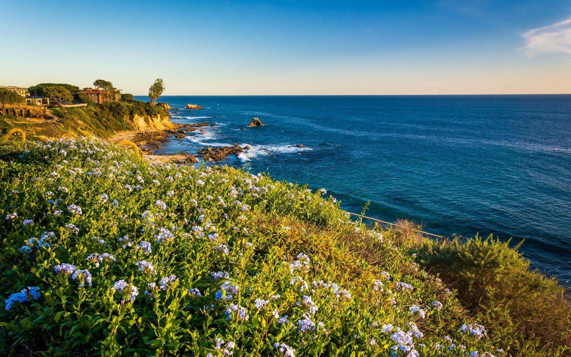 Del Mar coastline and ocean bluffs