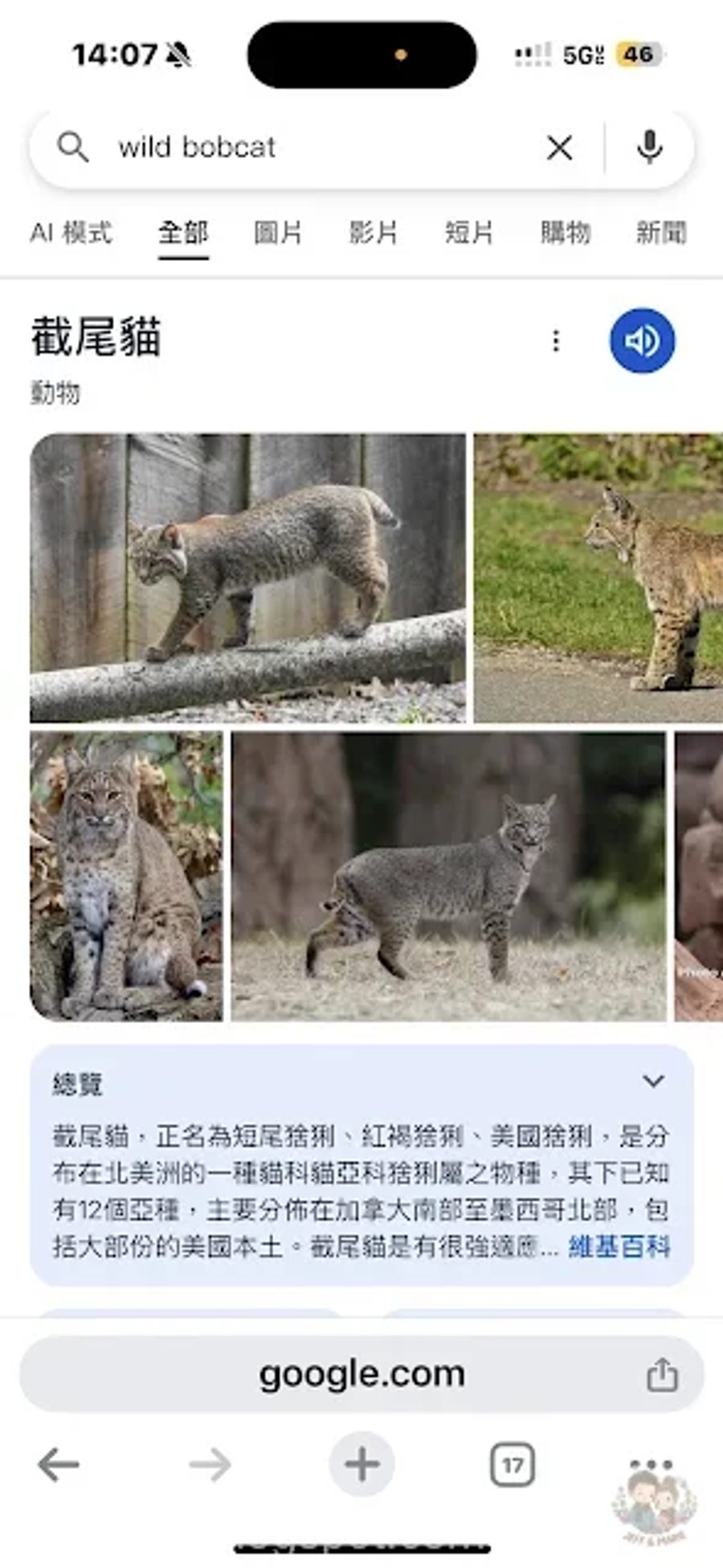 文章插圖