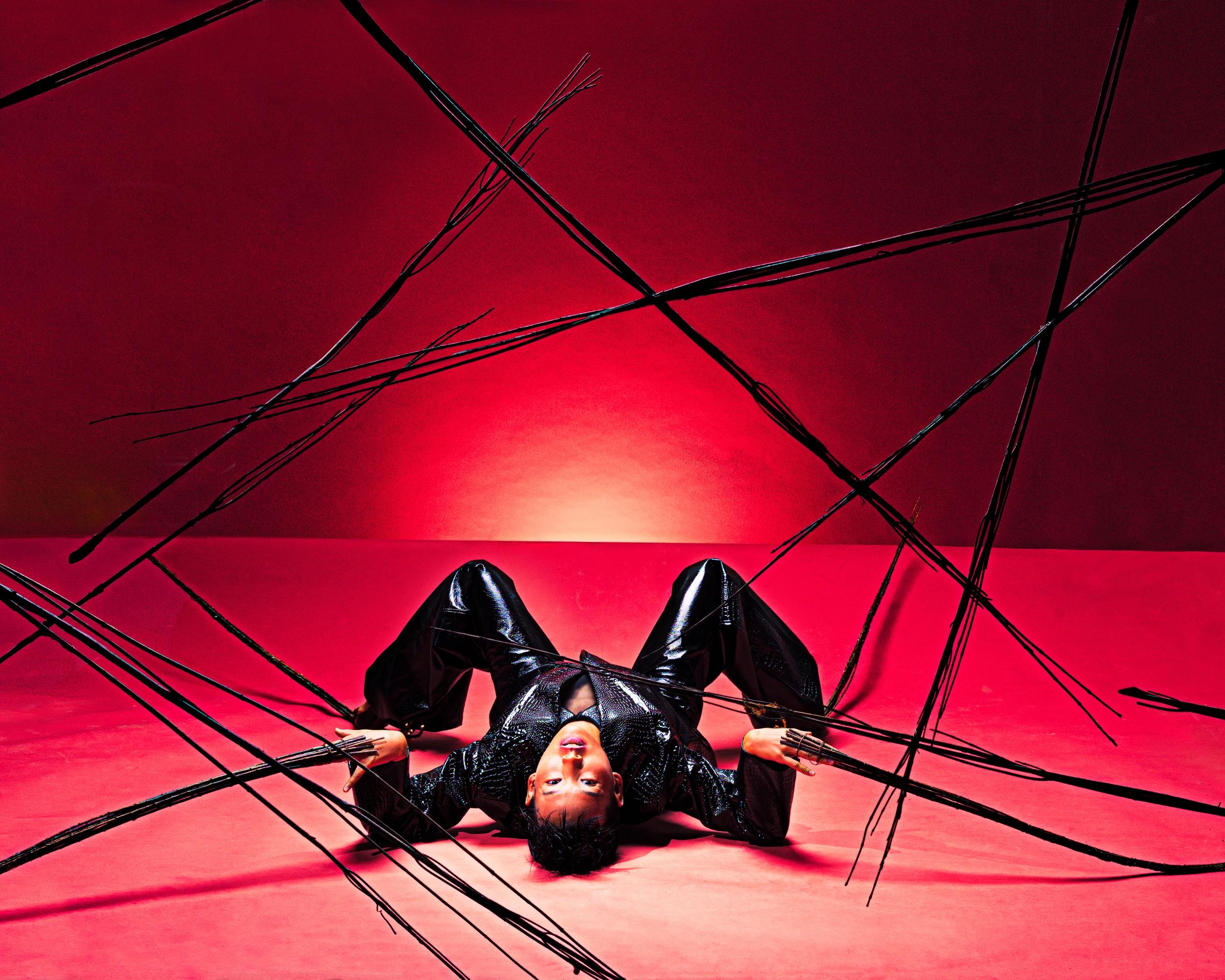 Hedwig Spiderwig-2