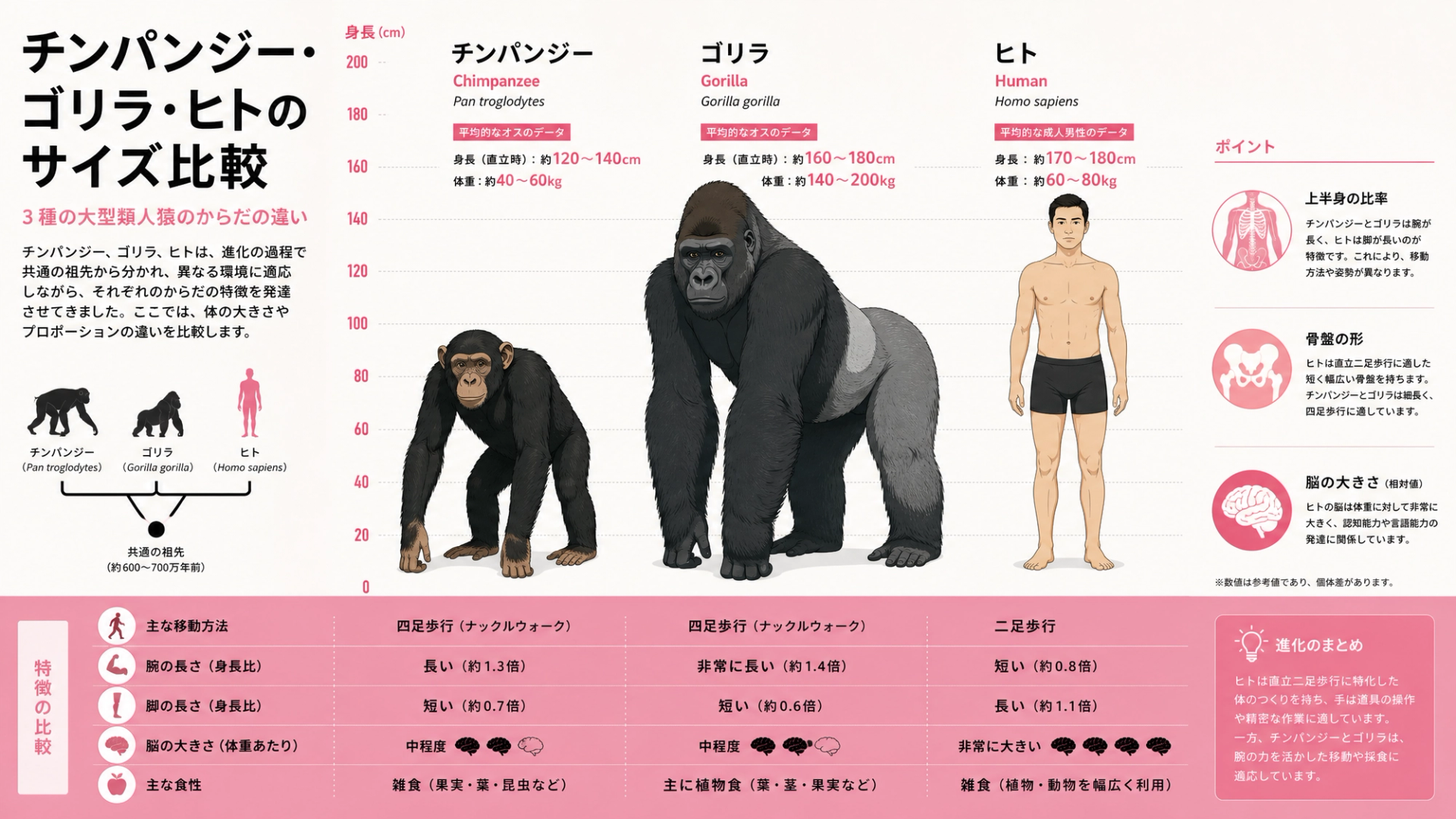「金玉が大きいと浮気しやすいのか」をデータで見たら、意外な事実を発見した