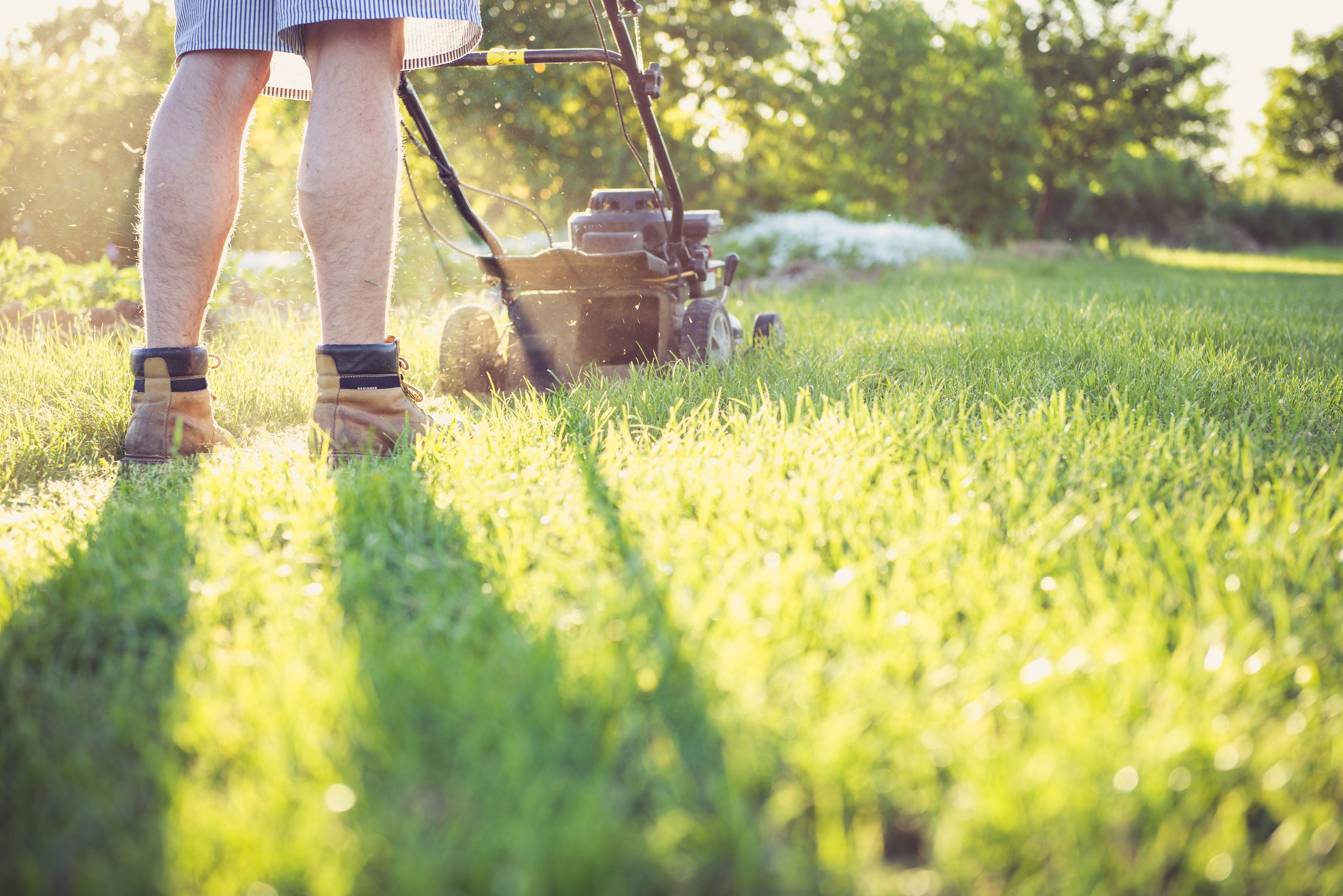 Person mowing a residential lawn with a push mower on a sunny summer day, illustrating common lawnmower use and the risk of serious yard work injuries.