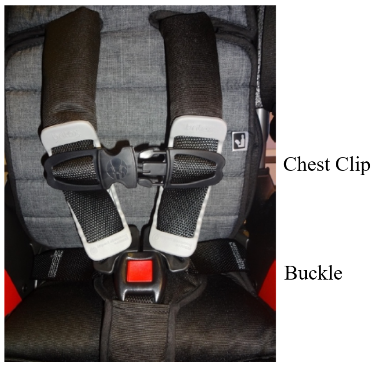 Image Hard-Fought Cases - Securing Safety - Chest Clip Buckle