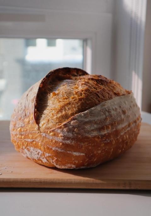 Rustic open-bake sourdough loaf with golden crust and ear