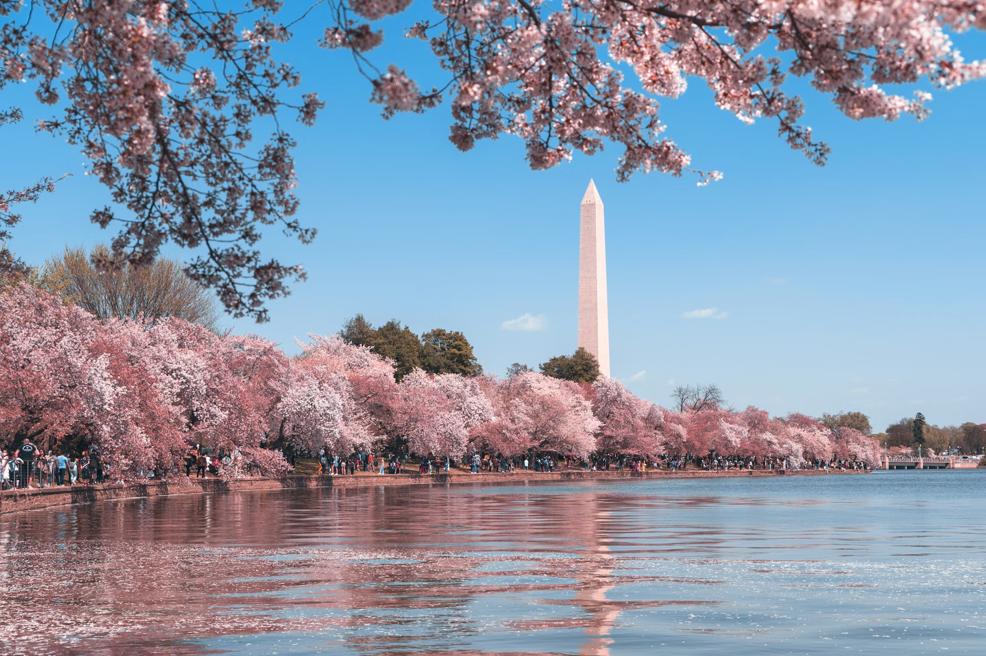 Paisaje representativo de Washington D.C.