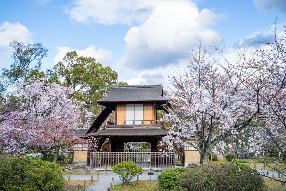 Japón semana santa