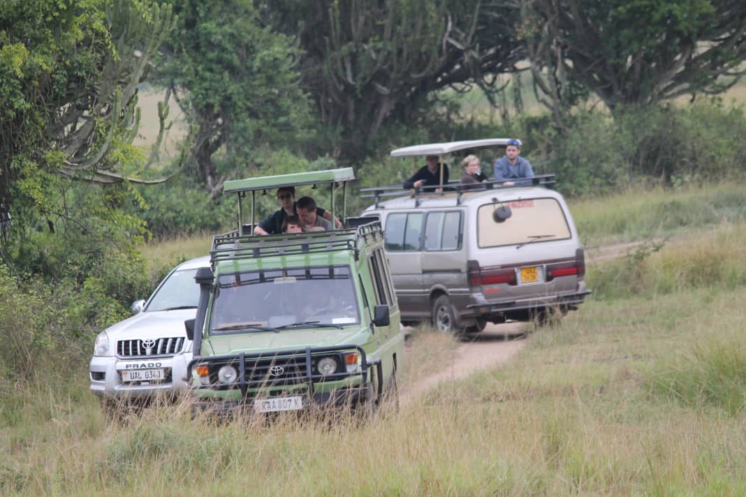 queens and canon safaris tours