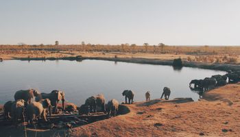 7 Days Zimbabwe Safari 