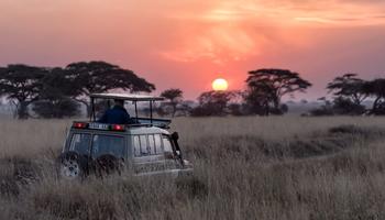 5 Days Tanzania Safari.