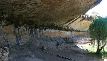 10 Days South Africa Safari 