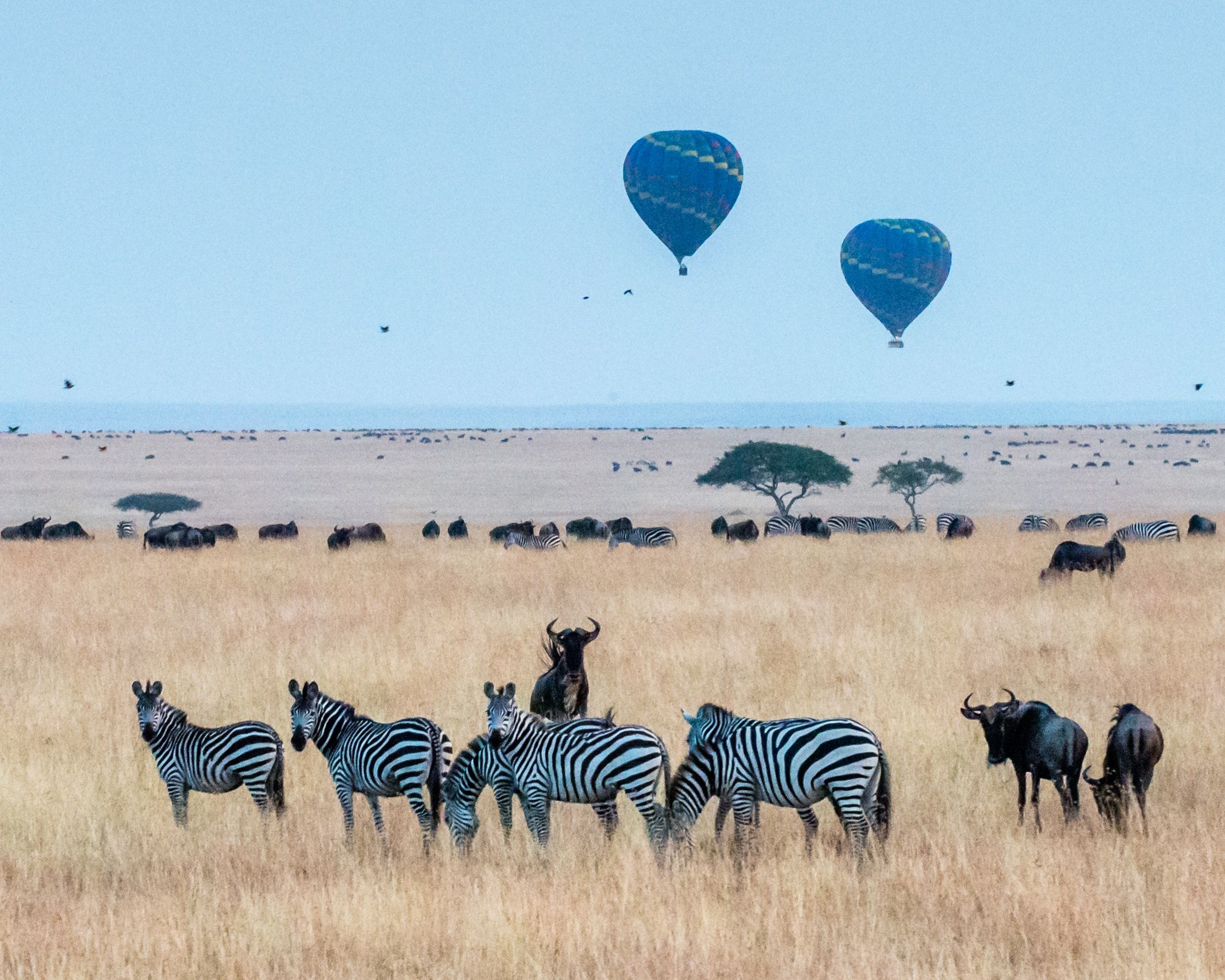 queens and canon safaris tours