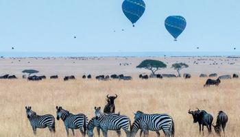 4 days Masai mara safari from Nairobi.